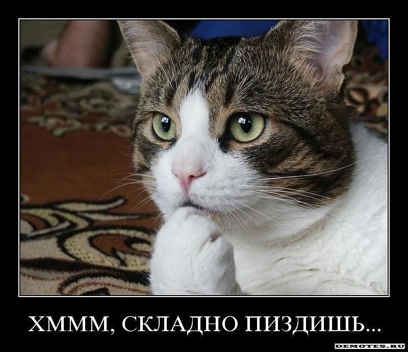 Игорь Борисов фотография #25