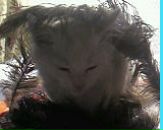 Світланка Маркович фотография #46 (источник - https://vk.com/id84053298)