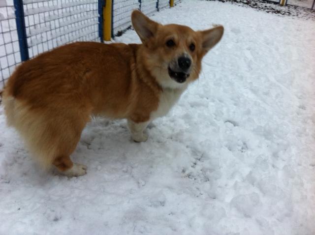 Victor Chu фотография #17