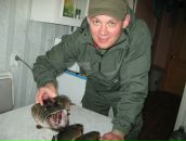 Фотография Ныробцева Дмитрия