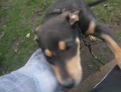 Андрій Дронь фотография #23 (источник - https://vk.com/id93204939)