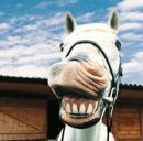 Вован Хоріщенко фотография #17 (источник - https://vk.com/id142512735)