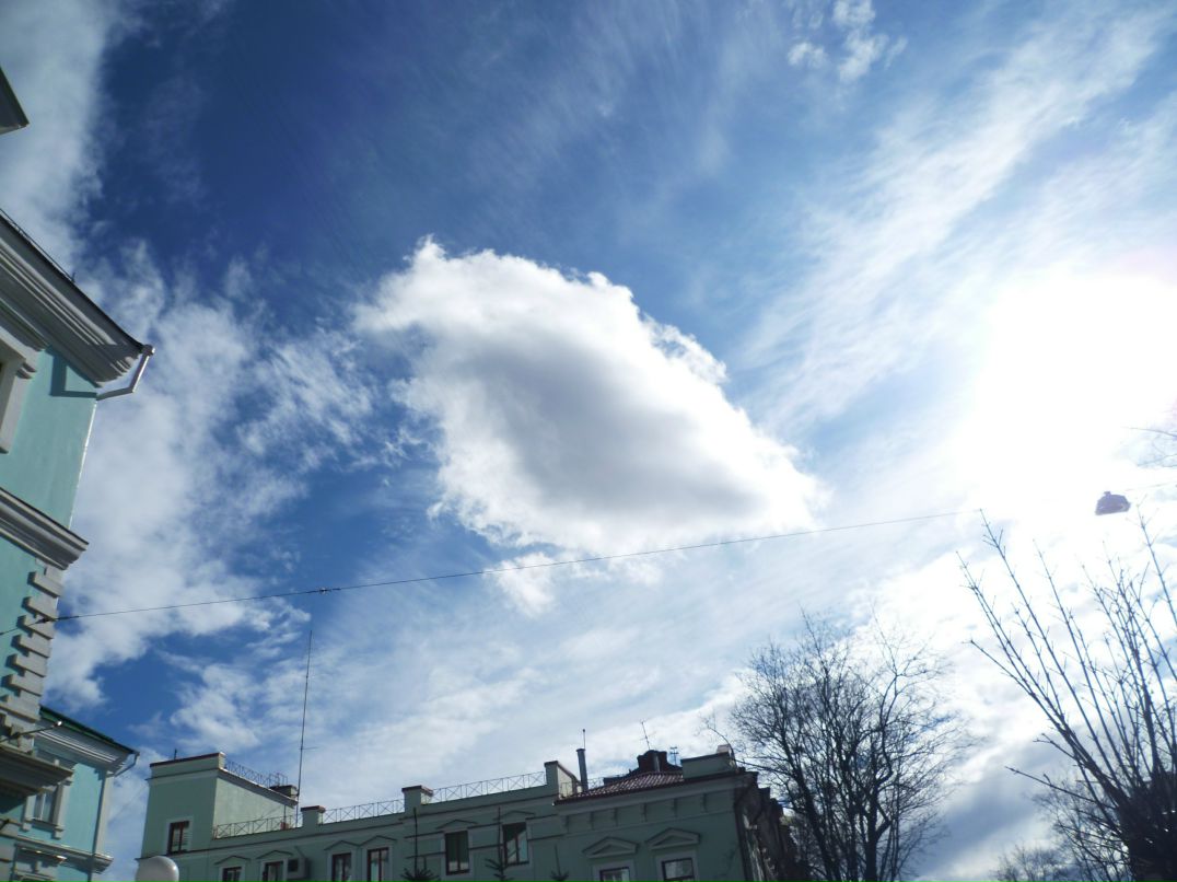 Dragon Fly фотография #29