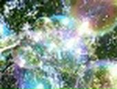 Вероніка Федишин фотография #3 (источник - https://vk.com/id45959990)