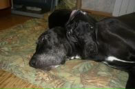 Фотография Ким Натальи