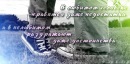 Аня Зініч фотография #9 (источник - https://vk.com/id70497928)