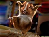 Фотография Кулькова Дмитрия