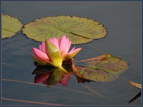 №4, Маша Любкина №4, Маша Любкина