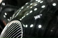 Ann Putsch фотография #50 (источник - https://vk.com/id7105680)