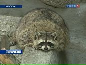 Фотография Смирновой Маришки