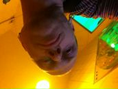 Фотография Garderobov Martin