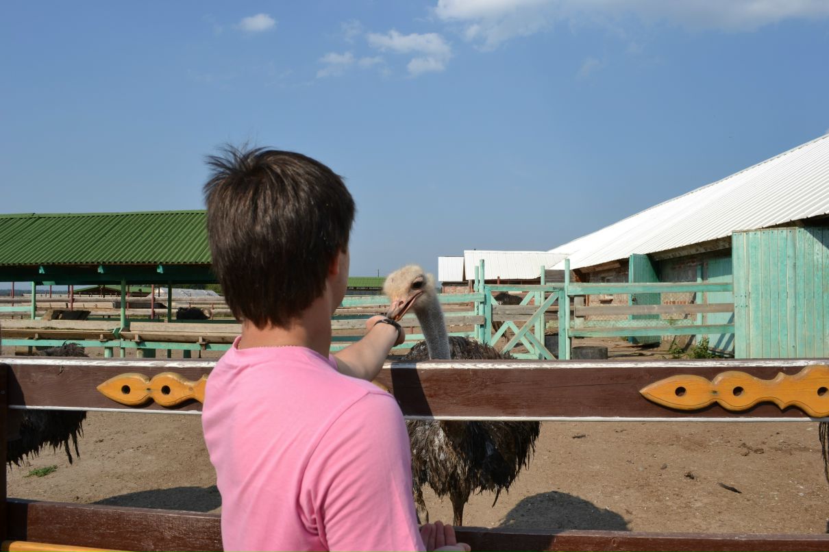 Константин Басалаев фотография #14