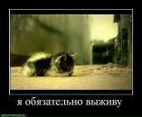 Іринка Лавренко фотография #7 (источник - https://vk.com/id23702185)