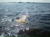 Фотография Параничевой Ирины