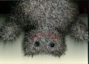 Фотография Волженской Валентины