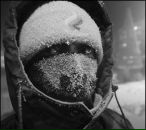 Фотография Бородулина Николая