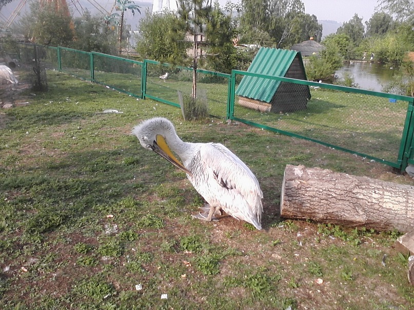 Дмитрий Иост фотография #33