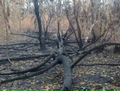 Сергей Чулочников фотография #23 (источник - https://vk.com/id271202)