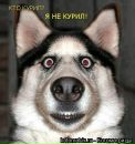 Міша Канафеев фотография #18 (источник - https://vk.com/id51463416)