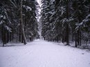 Іван Пришко фотография #40 (источник - https://vk.com/id126708098)