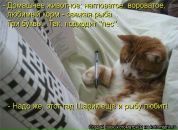 Міша Муравинець фотография #5 (источник - https://vk.com/id159275049)