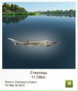 Степан Вівчар фотография #37 (источник - https://vk.com/id147025983)