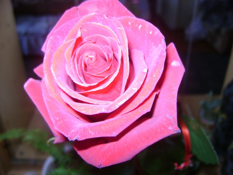 Андрей Мальков фотография #43