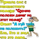 Діана Мурин фотография #28 (источник - https://vk.com/id73085906)