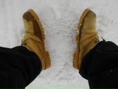 Алан Айверсон фотография #21 (источник - https://vk.com/id2580733)