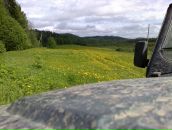 Фотография Ткачёва Алексея